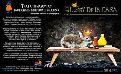 Llega ‘El Rey de la Casa’ a Sepia Estudio
