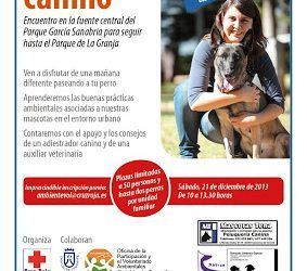 Una iniciativa para aprender a pasear por Santa Cruz con tu perro