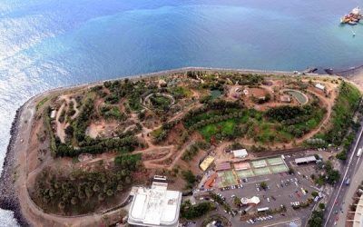 El Palmetum abrirá todos los días del año a partir de la próxima semana