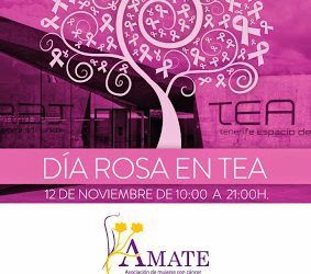 AMATE celebra hoy su Día Rosa en el TEA