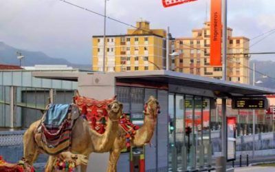 Metrotenerife y Zona Comercial Tranvía presentan la nueva campaña de Navidad 2014