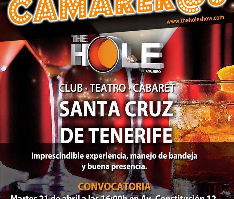 Oferta de empleo: Camareros/as para The Hole
