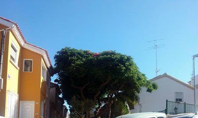 Homenaje a mi barrio