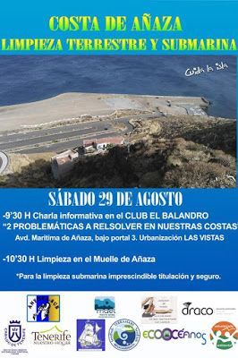 Organizan una jornada para la limpieza del muelle de Añaza