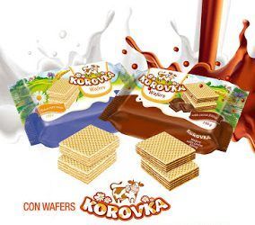 ZONA CENTRO da a conocer los Wafers de la empresa rusa que se instalará en Santa Cruz