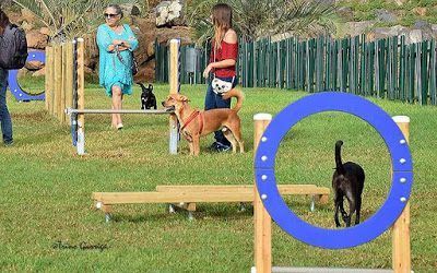 Cuchillitos de Tristán alberga el segundo parque canino del municipio