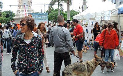 El Día de los Animales y Santa Cruz Urban Knitting dinamizan el último sábado de noviembre