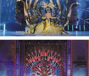 Depilación Láser Canarias busca a su Reina del Carnaval