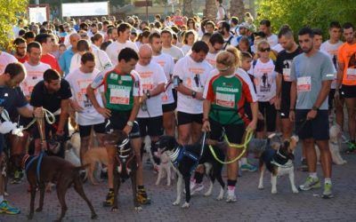 El Parque de La Granja albergará una carrera canina el próximo 3 de abril