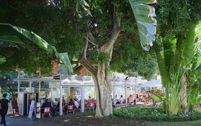 El Ayuntamiento aprueba el proyecto de remodelación del quiosco de la plaza Weyler