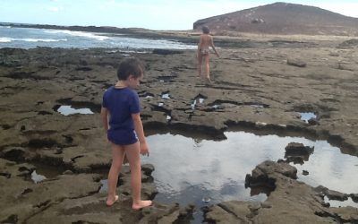 Se te va la Olla impulsa una recogida de residuos en el litoral de El Médano