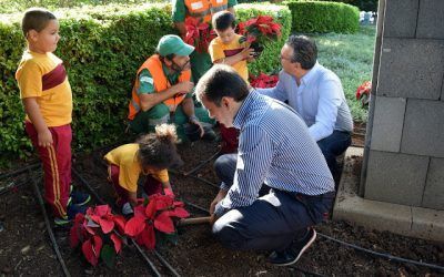 Santa Cruz saluda la Navidad con la plantación de más de 50.000 flores de pascua