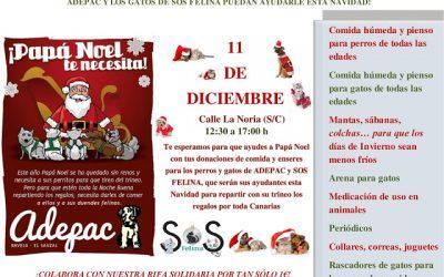 Este domingo se celebrará una recogida solidaria para animales en la calle La Noria