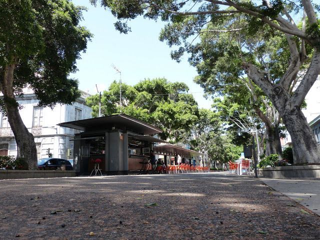 El Ayuntamiento adjudica la concesión del quiosco de la Plaza de La Paz