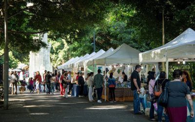 Más de 30 librerías de Canarias participan este año en la Feria del Libro de Santa Cruz