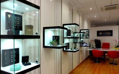 Staring o como ser el diseñador de tus alianzas