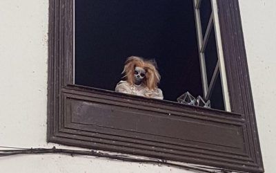 La Casa del Miedo de La Noria repite como atracción de la noche de Halloween