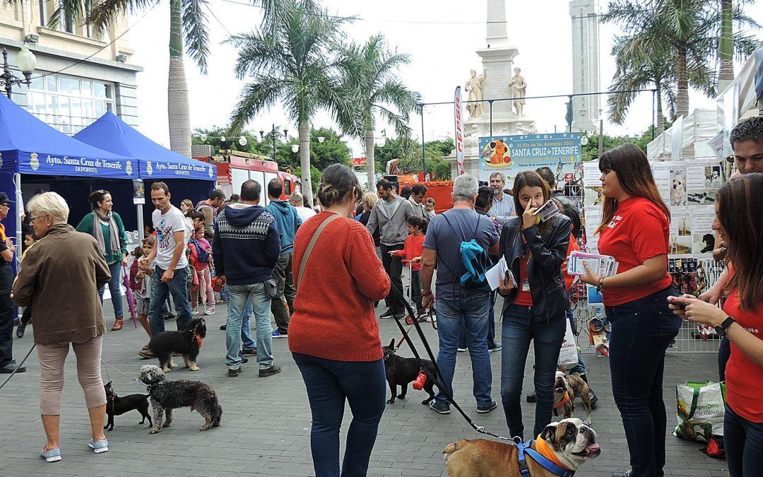 Santa Cruz celebra este sábado una nueva edición del Día de los Animales