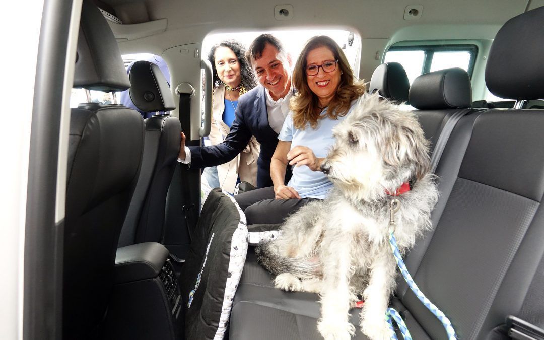 Los taxistas de Santa Cruz podrán transportar animales domésticos en sus vehículos