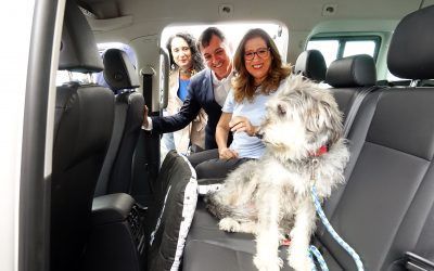 Los taxistas de Santa Cruz podrán transportar animales domésticos en sus vehículos