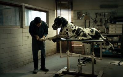 Hoy arranca un nuevo ciclo de cine independiente de la Filmoteca CajaCanarias