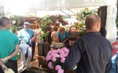 La Exposición de Flores, Plantas y Artesanía llena de color las Fiestas de Mayo