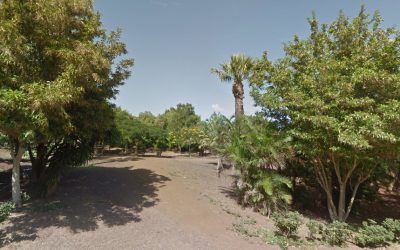 El Ayuntamiento invertirá más de un millón de euros en la remodelación del Parque de La Estrella