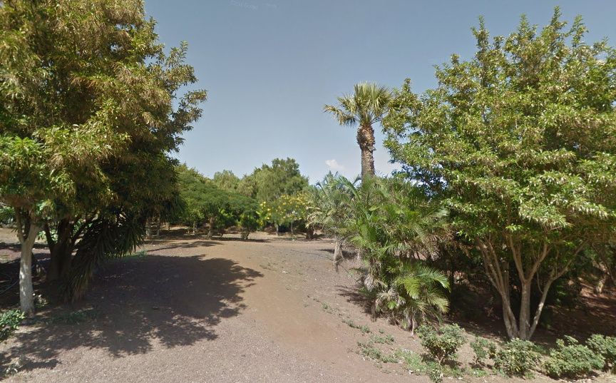 El Ayuntamiento invertirá más de un millón de euros en la remodelación del Parque de La Estrella
