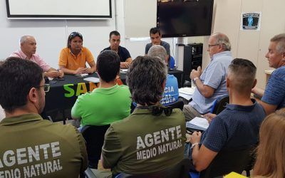 El Ayuntamiento mantendrá el dispositivo especial de tráfico en Anaga durante agosto