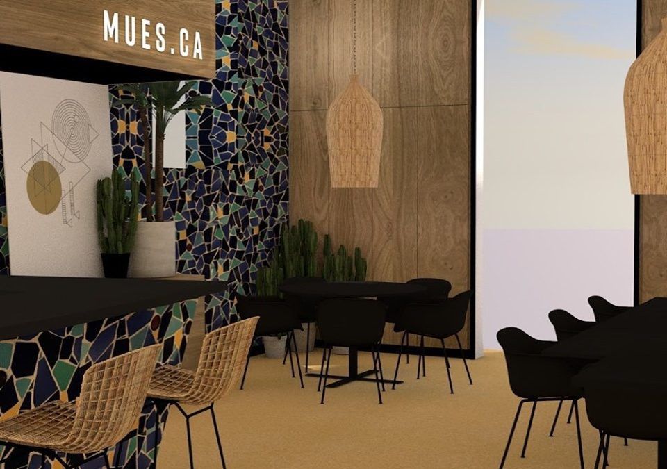 Mues.ca, el Museo de la Naturaleza y la Arqueología vuelve a tener cafetería