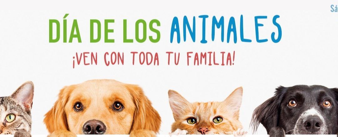 Santa Cruz celebra este sábado su particular Día de los Animales