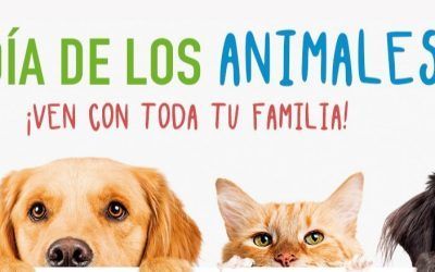 Santa Cruz celebra este sábado su particular Día de los Animales