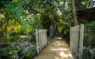 El Ayuntamiento de Santa Cruz estrena nueva Ruta Etnobotánica en el Palmetum