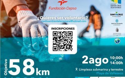 El Ayuntamiento impulsa una limpieza litoral y submarina en la playa de Valleseco
