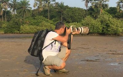 Museos de Tenerife convoca a los mejores fotógrafos de naturaleza para la séptima edición de #naturajazz