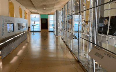 El MUNA estrena un módulo expositivo sobre aves en Canarias