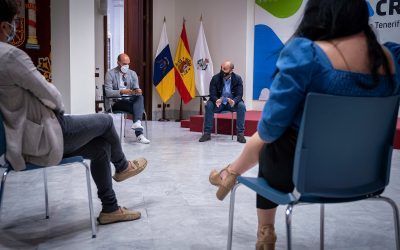 Fiestas confirma la participación de artistas y orquestas canarias en el Carnaval virtual