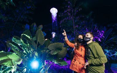 Naturaleza Encendida abre hasta el 18 de abril