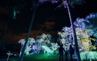 Naturaleza Encendida se despide este fin de semana de Tenerife