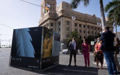 El Cabildo pone en marcha una exposición al aire libre para celebrar el Día Mundial de la Abejas