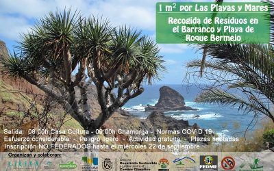 Roque Bermejo acogerá el domingo una jornada de limpieza en el barranco y la costa