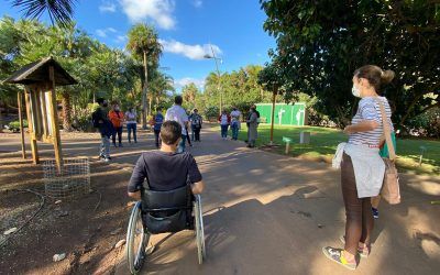 Santa Cruz y Fundación Cepsa invitan a las familias tinerfeñas a visitar el Palmetum